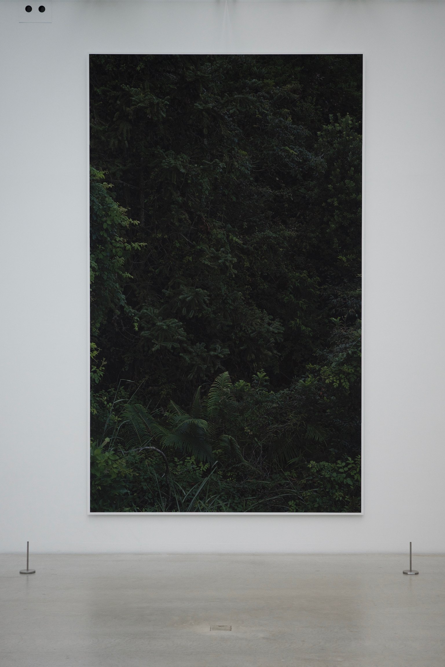 a large rectangular frame with trees in the background