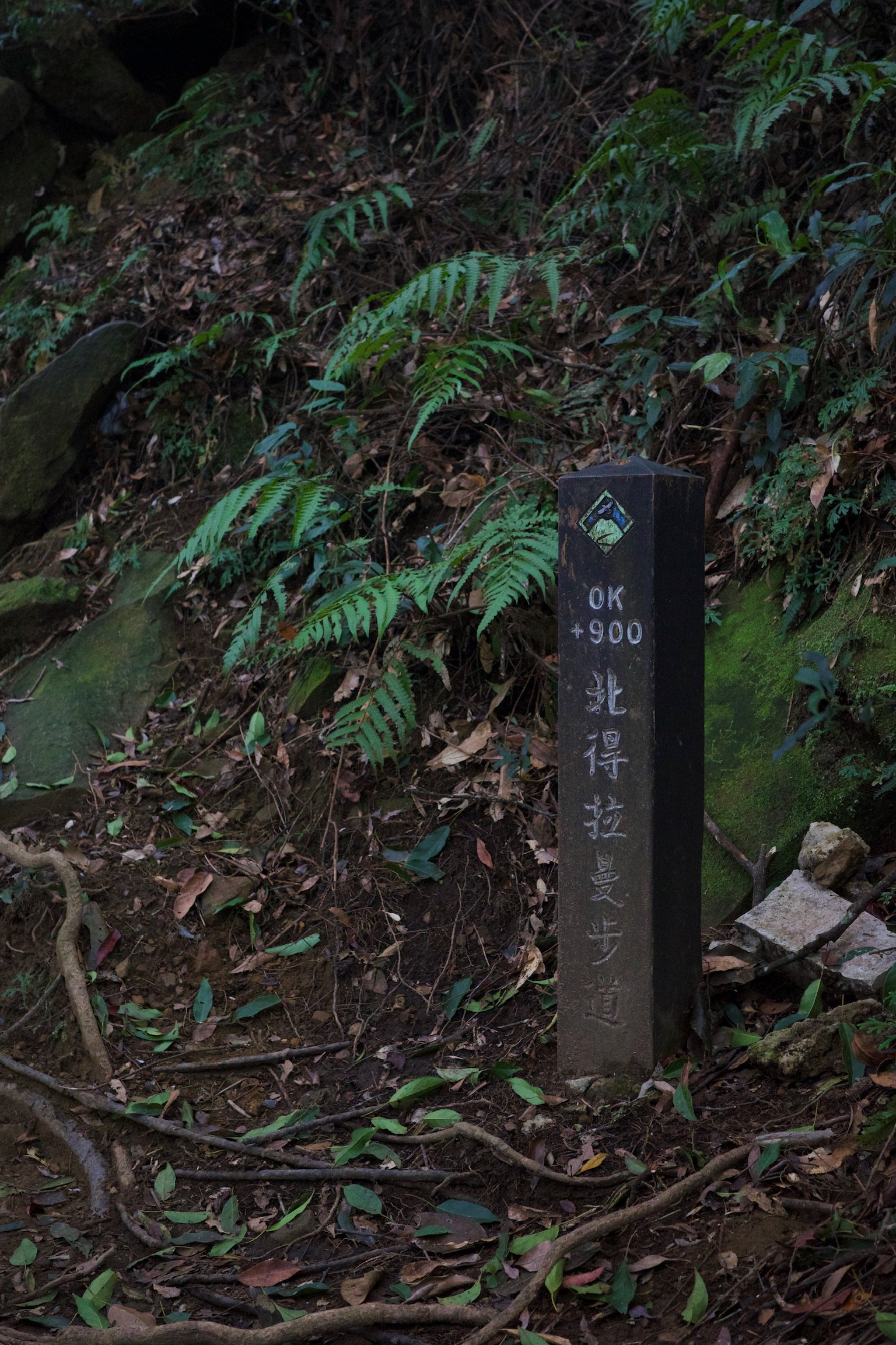 Ptlaman hiking trail sign, reading 0k 900.