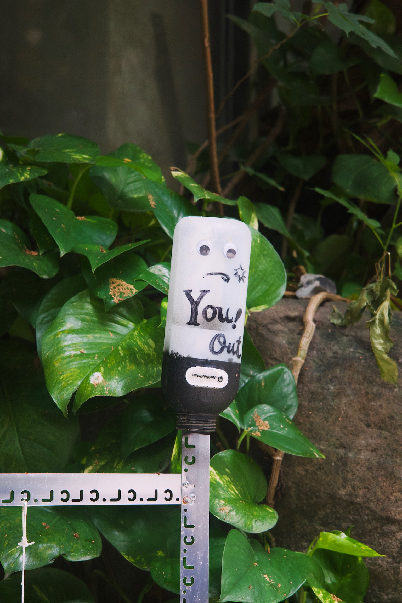 A plastic bottle with googly eyes and a sad mouth with text reading “You! Out!”.