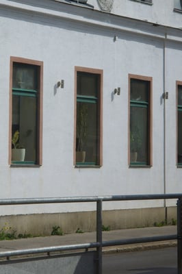 a row of windows each with one potted plant in them, with brown trimmings and white wall