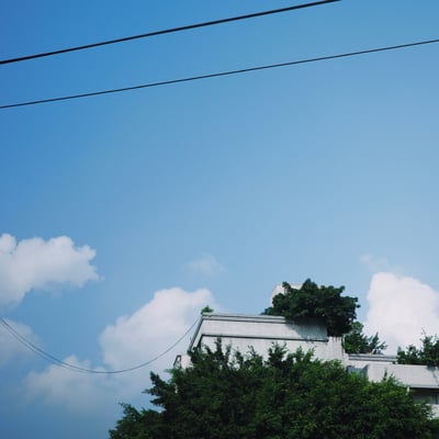 Roof of a white finely tiled building with overgrown trees against a blue sky backdrop. Power lines, scattered clouds.
