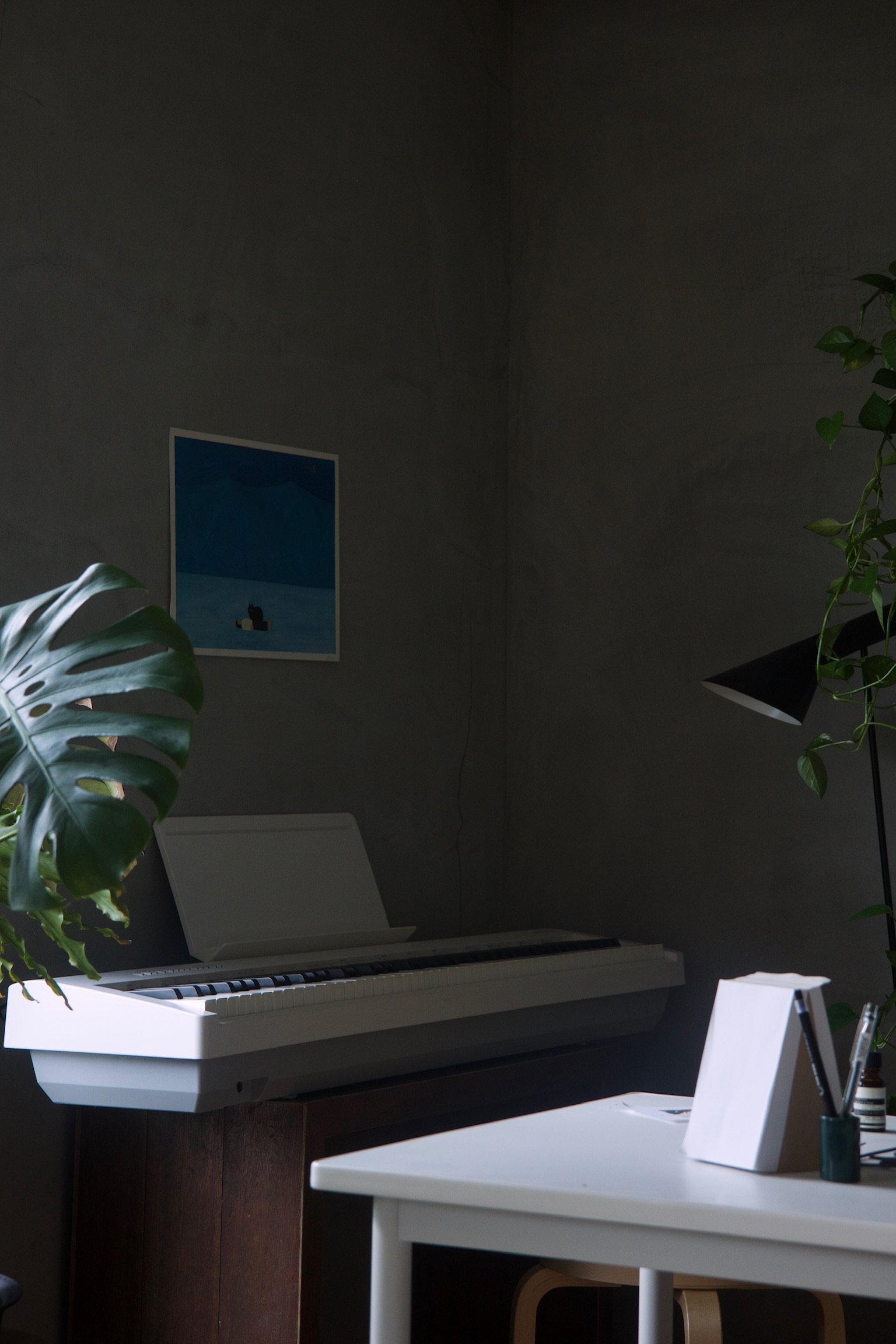 A Roland FP30X piano, plants, AJ floor lamp.