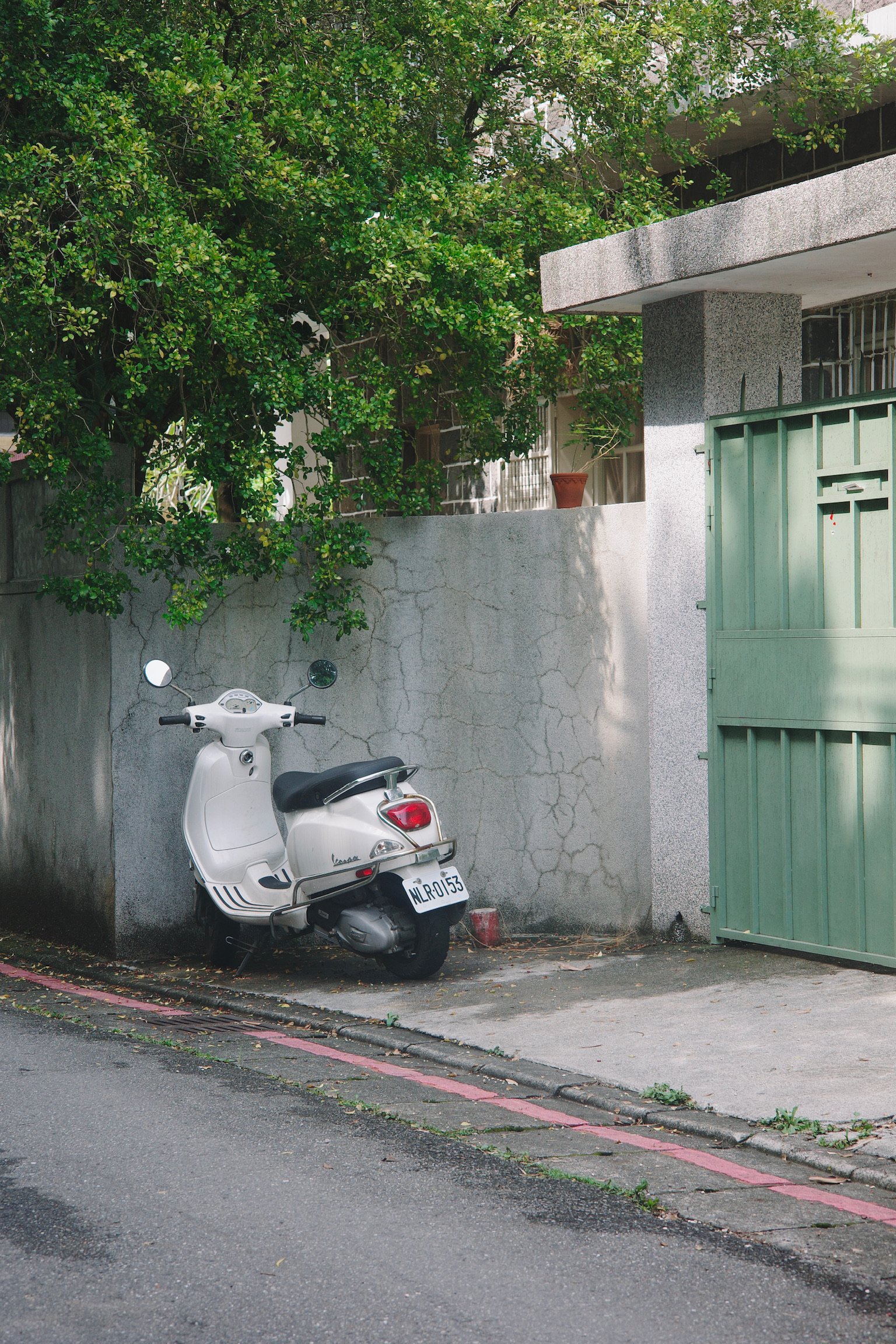 A white scooter parked in front of a house with a light green door and a big tree on a sunny day.