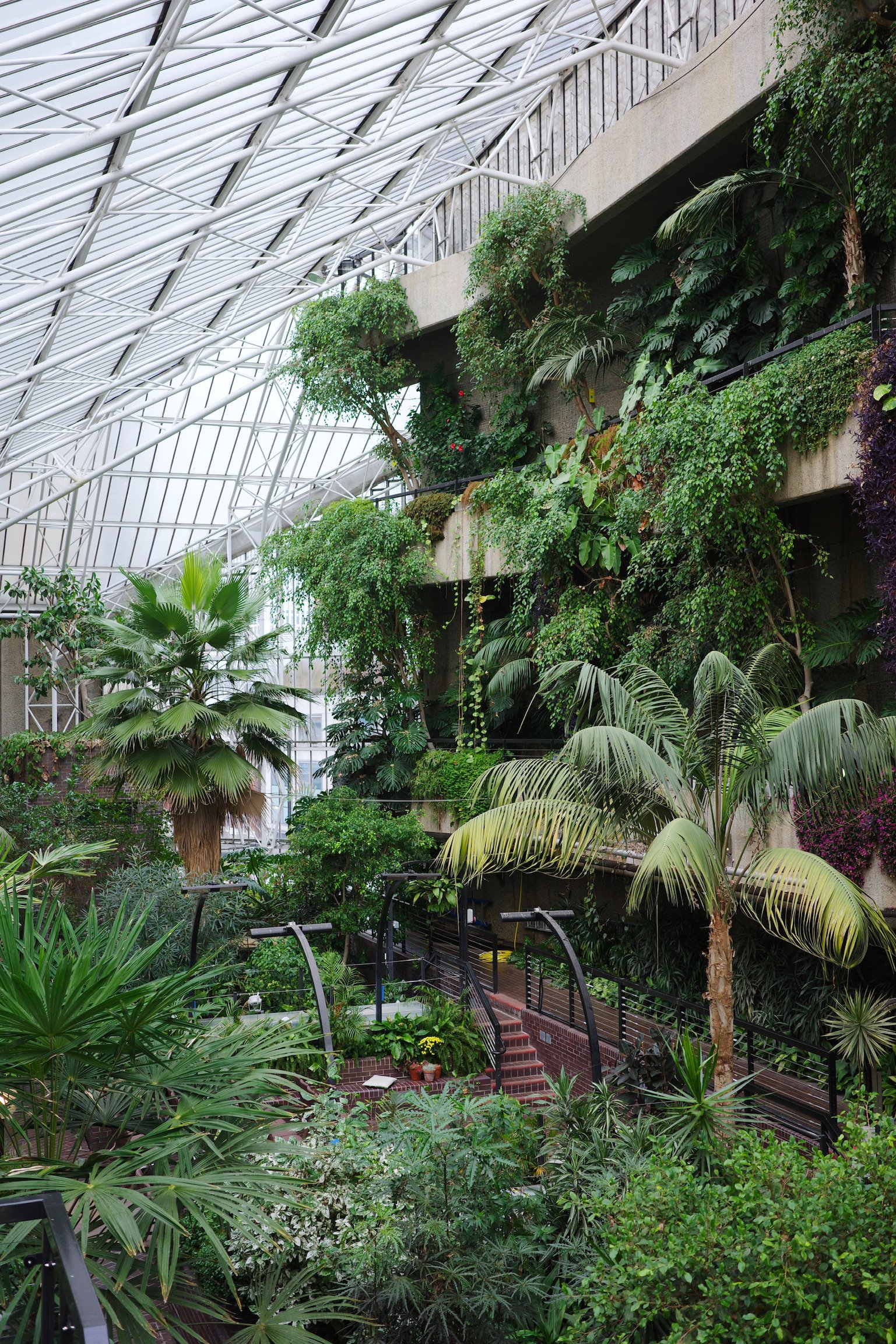 A conservatory with tropical plants spanning across 4 stories.