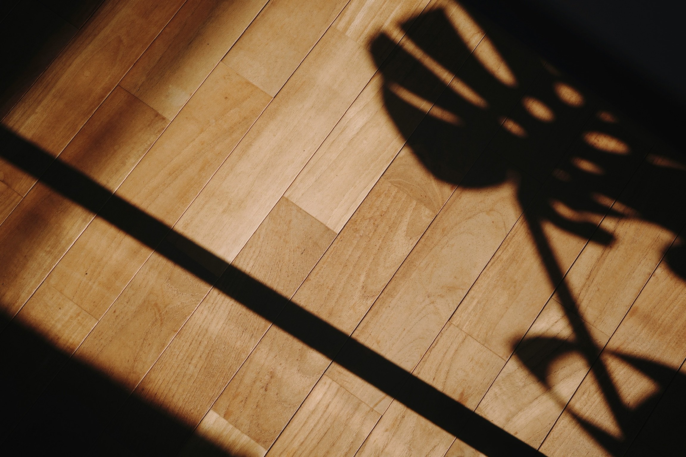 Wooden paneled floor with shadows of monstera plant casted on it.