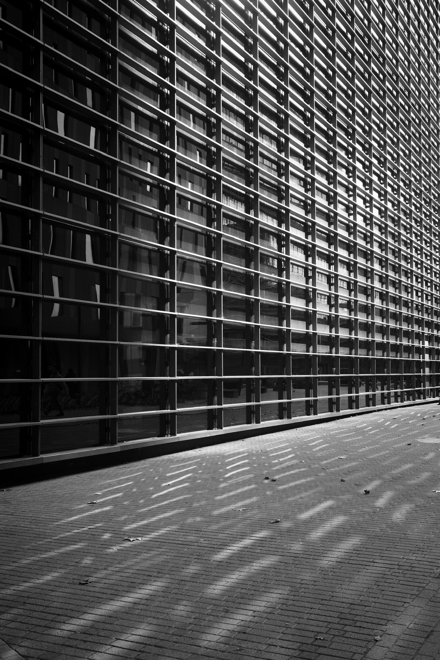 Building with mirror and gird exterior creating slanted grid shadow on the floor. (black and white)