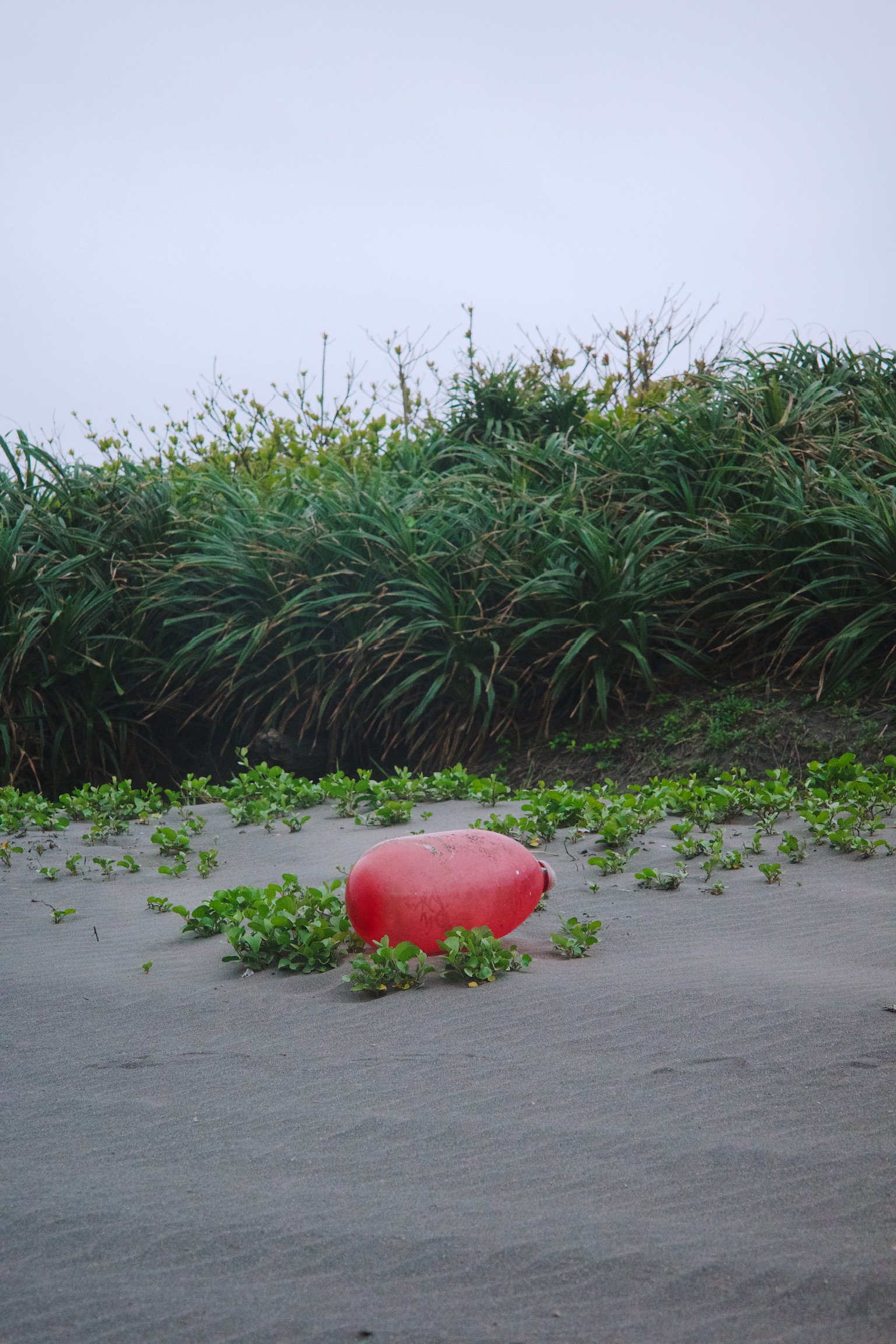 A red plastic chubby water container laying on the beach with greens in the background on a cloudy day.