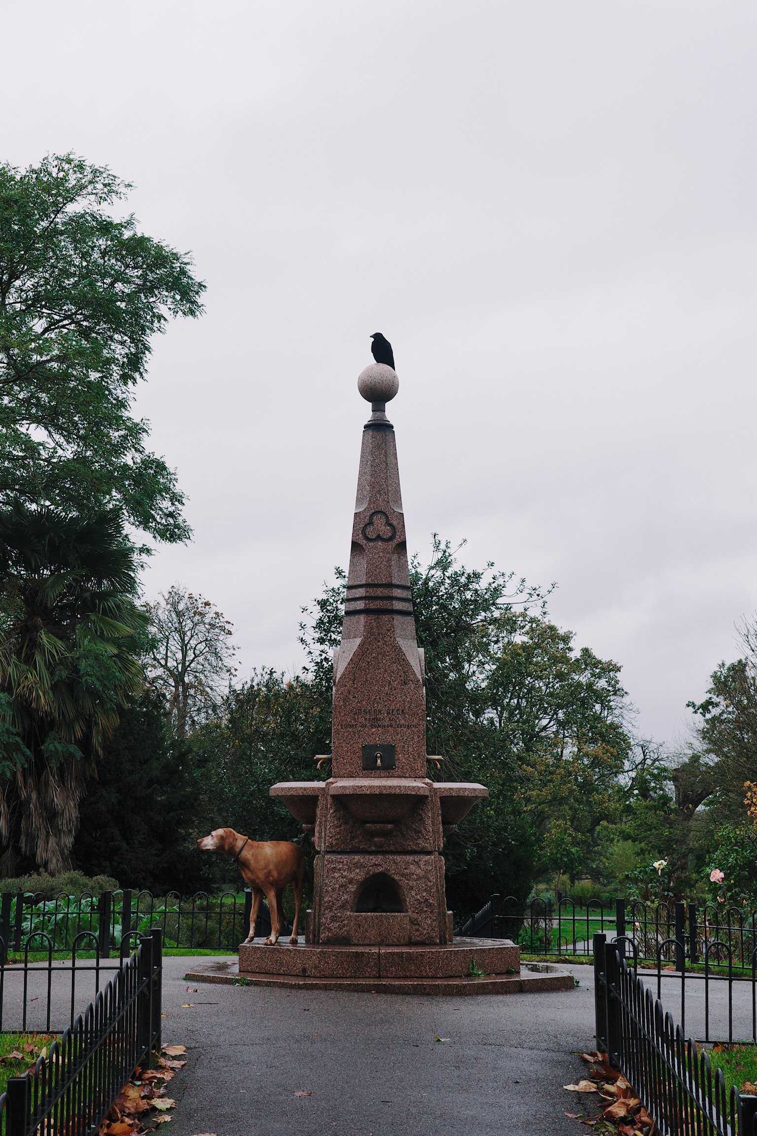 A crow standing on top of the Joseph Beck memorial fountain and a dog standing by the side looking leftwards to its owners.