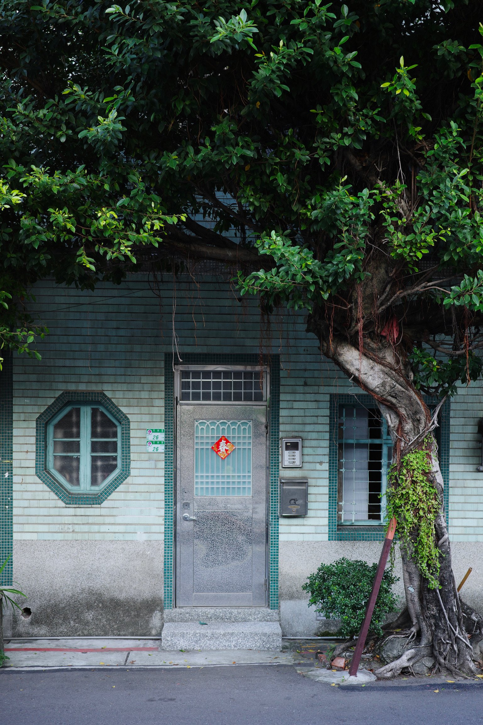 Teal tiled house with a metal door, hexagon window, traditional taiwanese window frames, and an old tree.